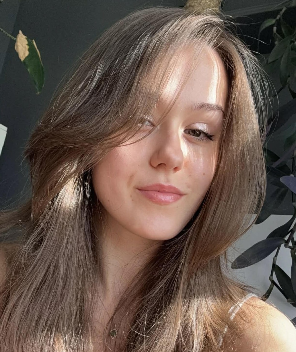 Profile
